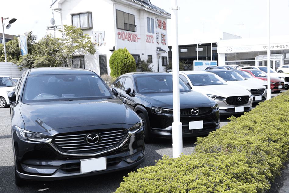 豊富なラインナップ